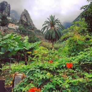 Escapadas y Viajes de Naturaleza en Europa y el Mundo