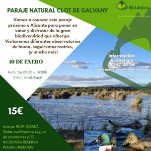 ALICANTE: El clot de Galvany | 10 de enero 2026