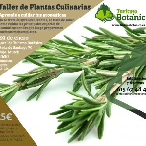 Murcia: Taller de Plantas Culinarias | 24 de Enero 2026