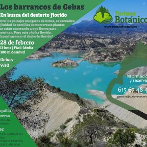 MURCIA: Los Barrancos de Gebas  | 28 de febrero