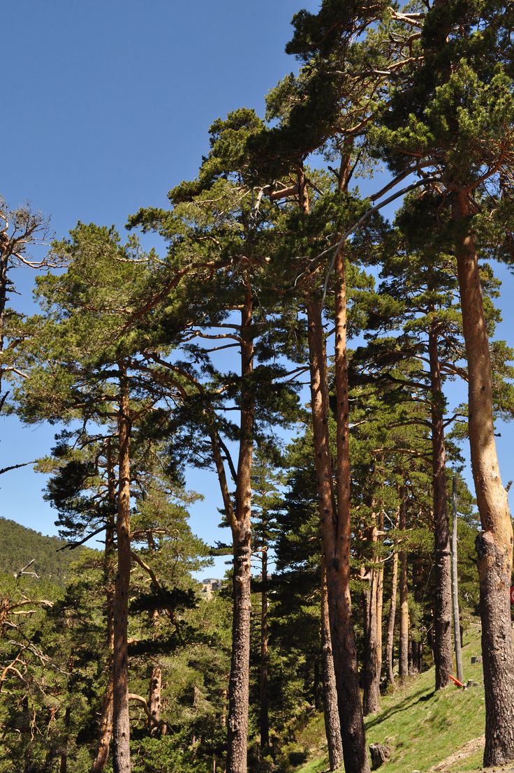 Madrid: Parque Nacional Sierra de Guadarrama | Del 16 al 19 de abril - Image 2