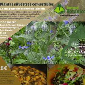 Murcia: Taller de Plantas Silvestres Comestibles | 07 de Marzo 2026