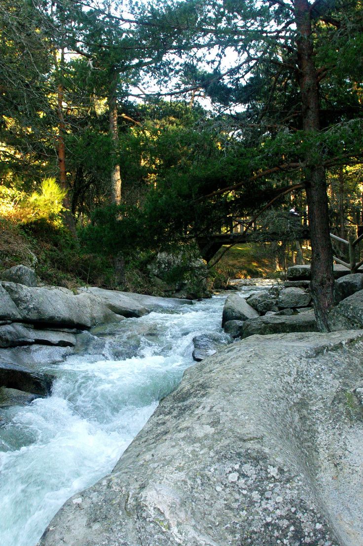Madrid: Parque Nacional Sierra de Guadarrama | Del 16 al 19 de abril - Image 3