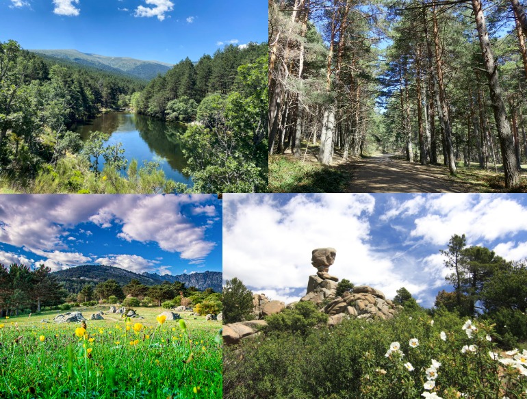 Madrid: Parque Nacional Sierra de Guadarrama | Del 16 al 19 de abril