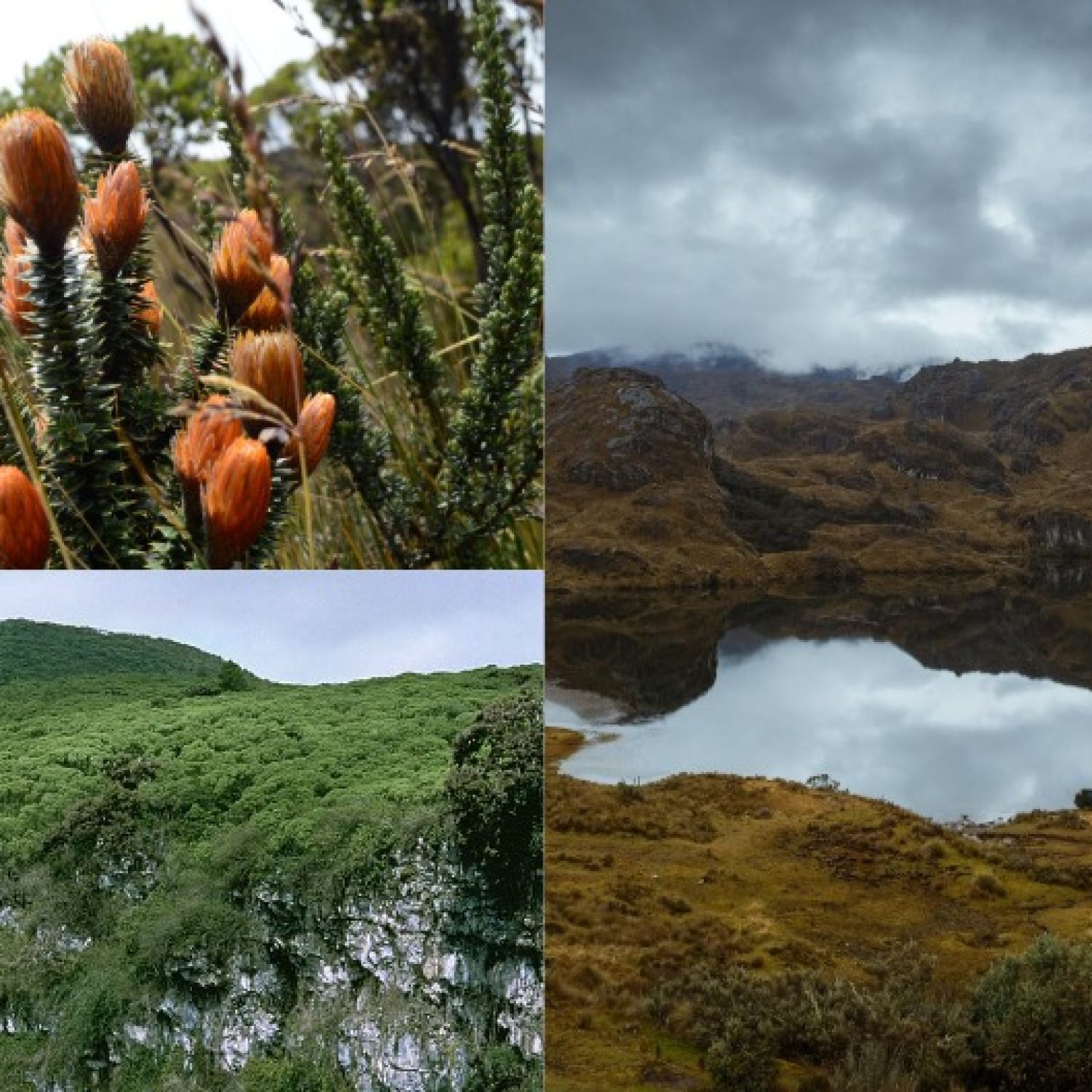 Ecuador: El sueño de Darwin | Del 19 de octubre al 6 de noviembre de 2026