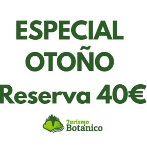 ESPECIAL OTOÑO: RESERVA 40€