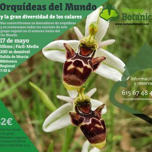 MURCIA: Orquídeas del Mundo - 17 de mayo