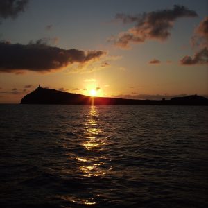 Las Islas Columbretes: Verano en La Costa del Azahar | 3 al 5 de Julio de 2026