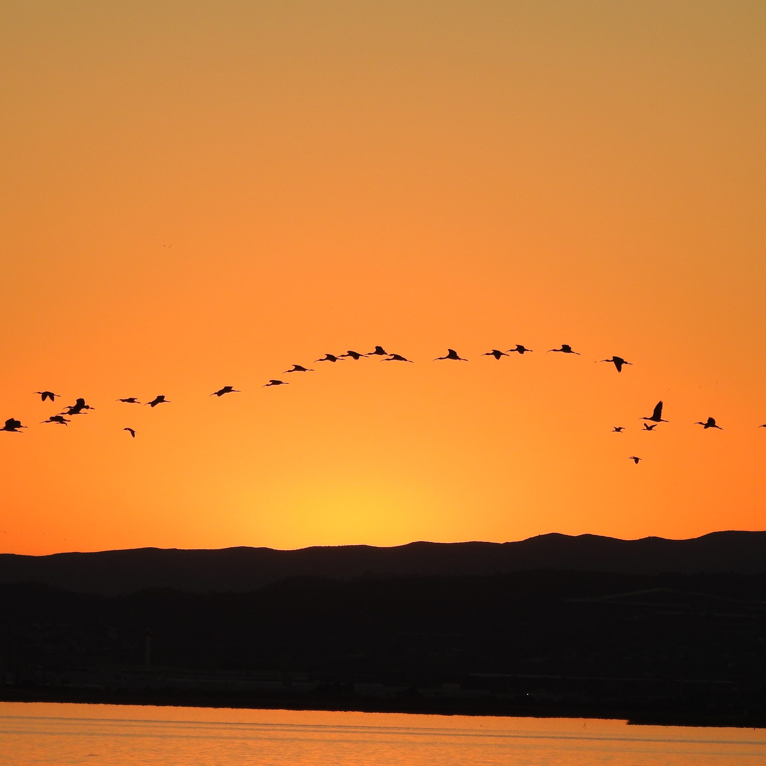 Atardecer en la Albufera y PN Sierra de Espadán | Del 14 al 15 de Noviembre - Imagen 3