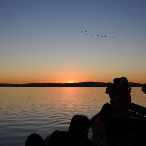 Atardecer en la Albufera y PN Sierra de Espadán | Del 14 al 15 de Noviembre