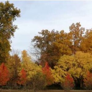 Jardines de Aranjuez y Vegas | Del 30 de Octubre al 1 de Noviembre | Pago 1