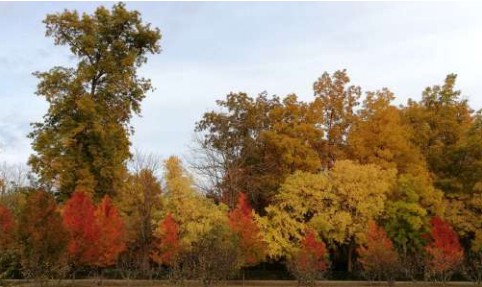 Jardines de Aranjuez y Vegas | Del 30 de Octubre al 1 de Noviembre