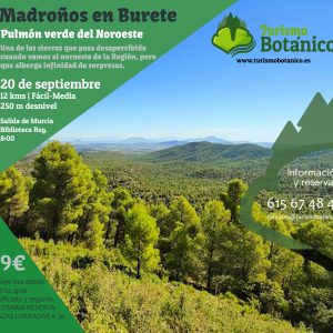 MURCIA: Madroños en Burete - 20 de septiembre