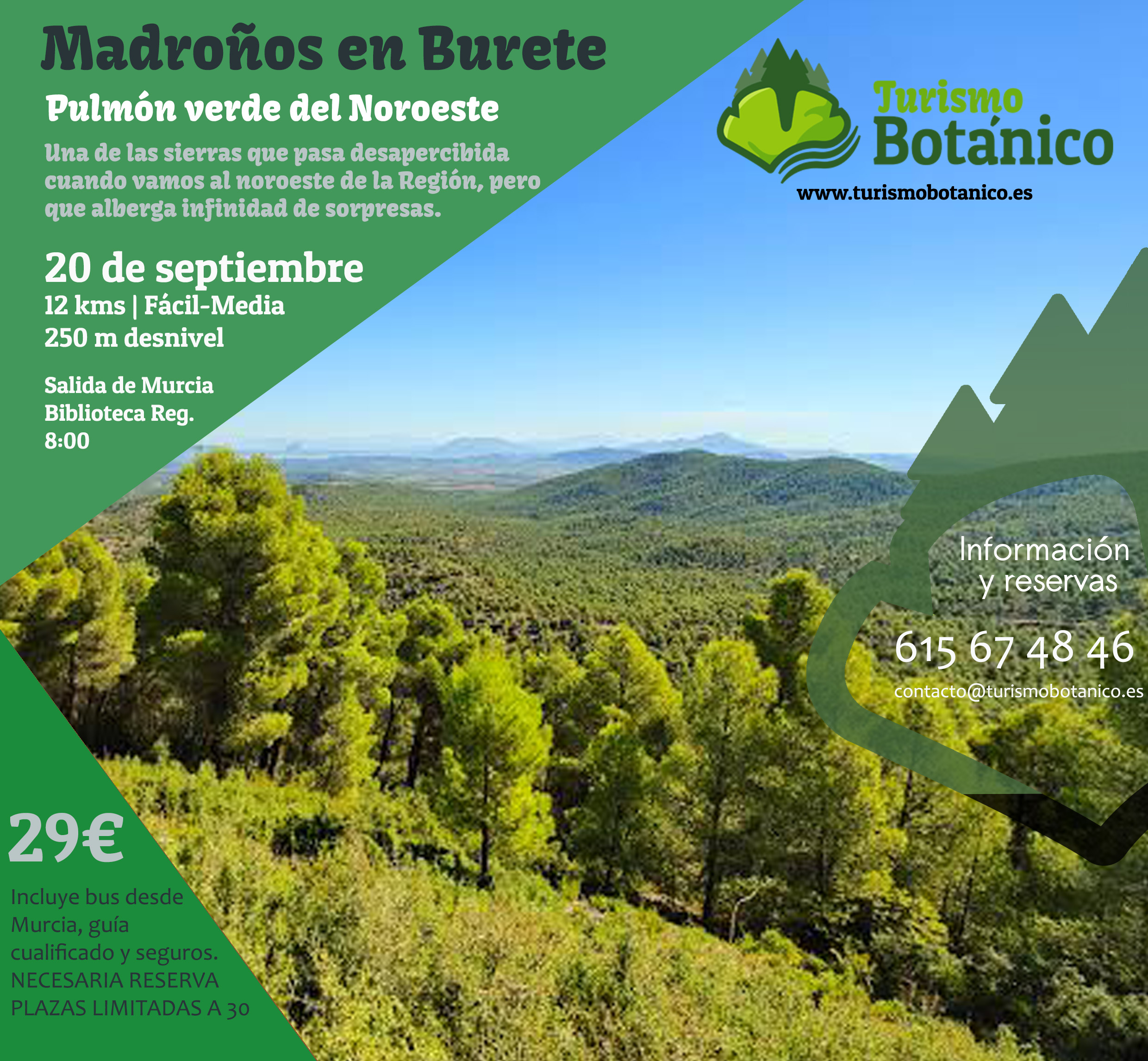 MURCIA: Madroños en Burete - 20 de septiembre