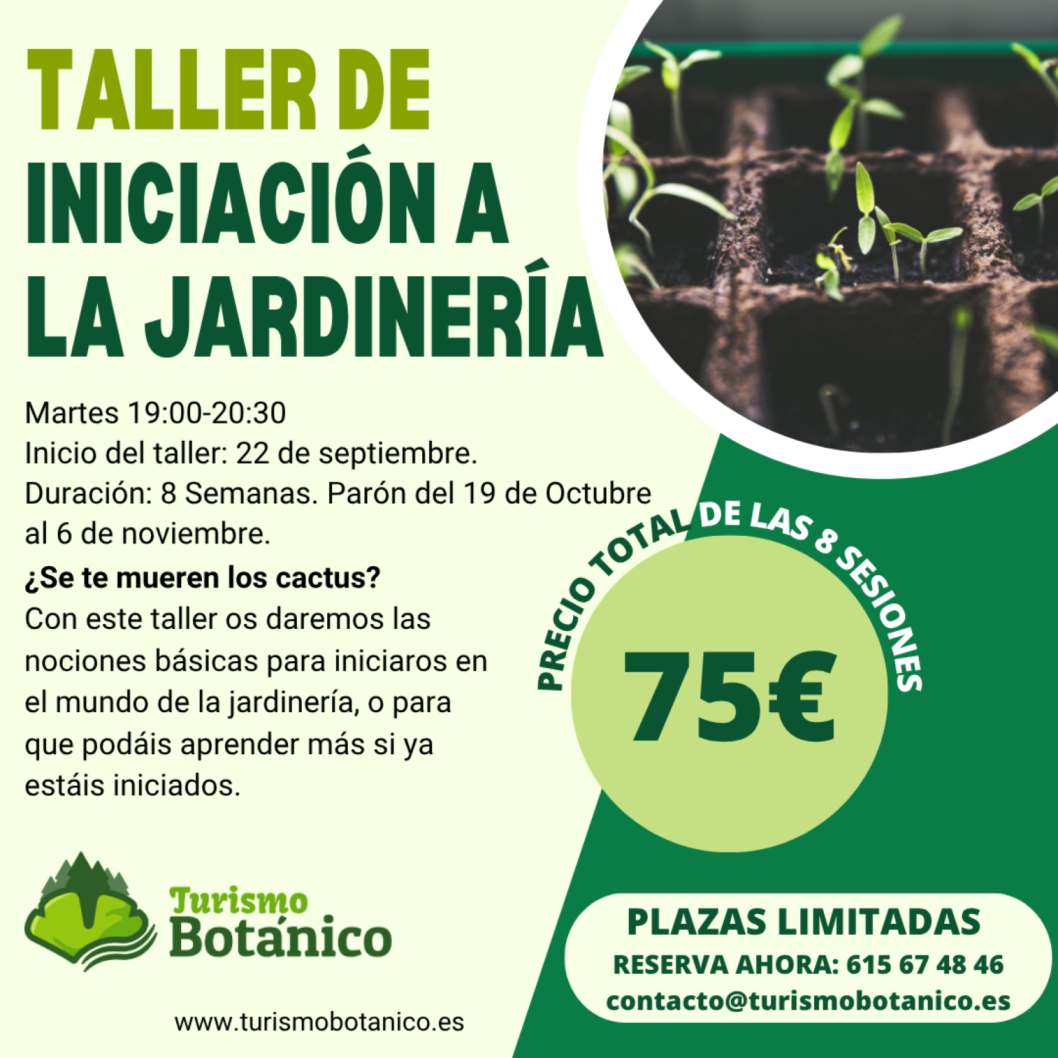 Murcia: Taller de Iniciación a la Jardinería | Otoño 2026