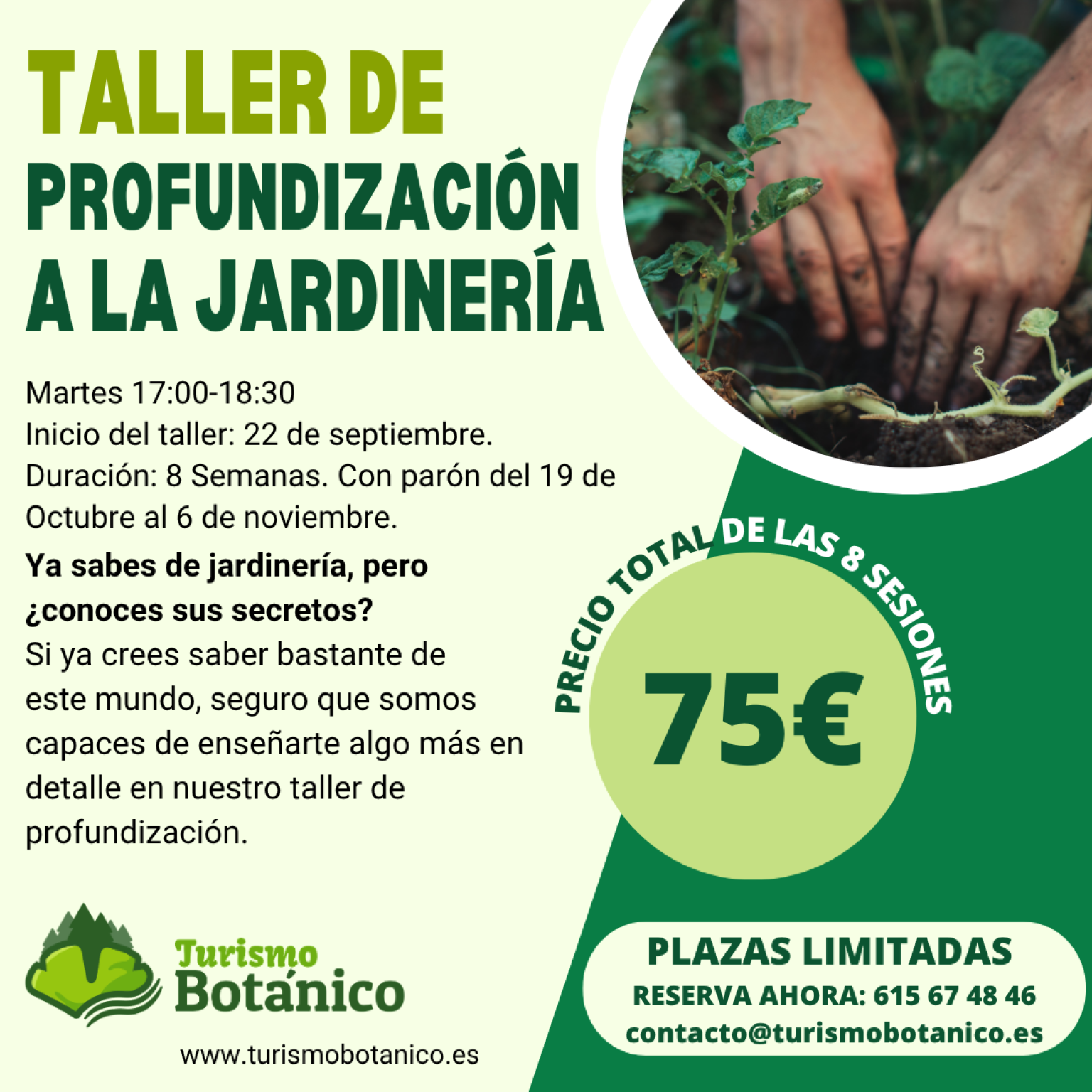 Murcia: Taller de Profundización a la Jardinería | Otoño 2026