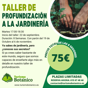 Murcia: Taller de Profundización a la Jardinería | Otoño 2026