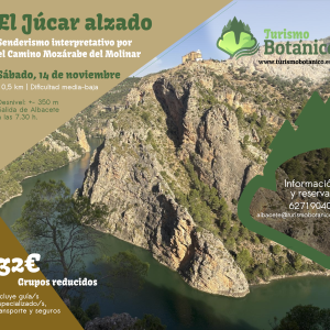 Camino Mozárabe
