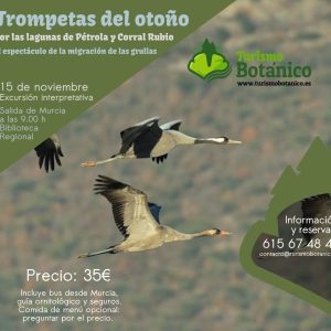 MURCIA: Trompetas del otoño: la llegada de las grullas | 15 de noviembre