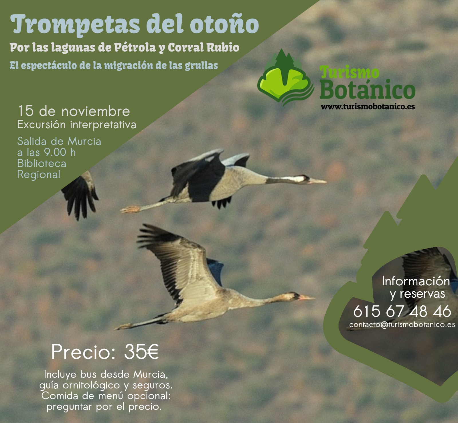 MURCIA: Trompetas del otoño: la llegada de las grullas | 15 de noviembre